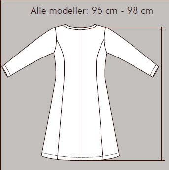 Færdigemål onion 2055