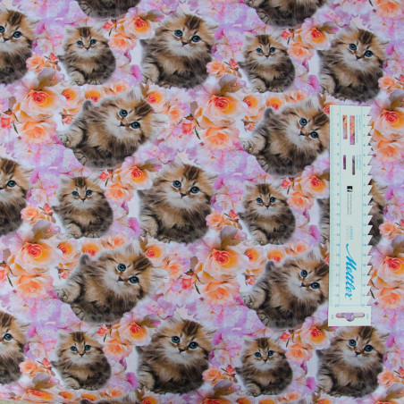 Kattekilling og blomster Digital print børnestof
