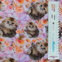 Kattekilling og blomster Digital print børnestof