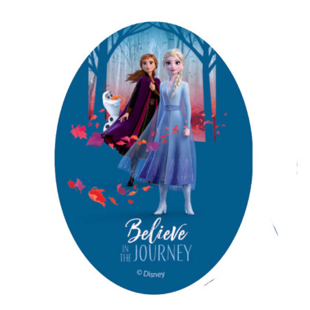 Anna & Elsa Printet stryglap 11x8 cm