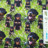 Rottweiler  Digital print Jersey metervare
