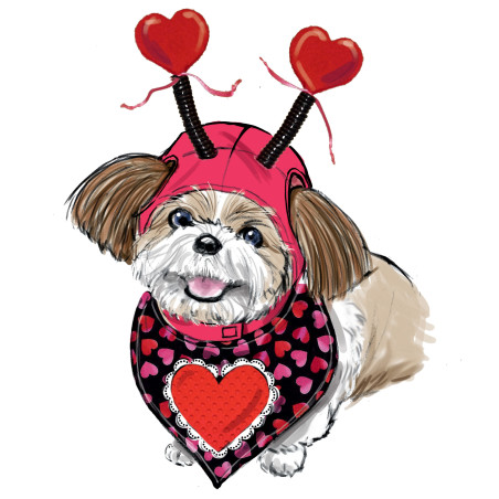 Udklædning til hunde Simplicity snitmønster 9497 A