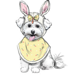 Udklædning  til hunde Simplicity snitmønster 9497 A