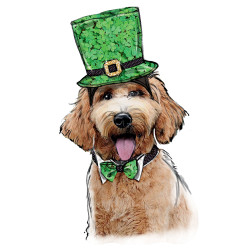 Udklædning  til hunde Simplicity snitmønster 9497 A