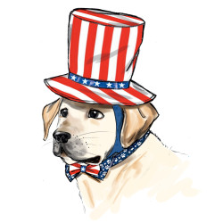 Udklædning  til hunde Simplicity snitmønster 9497 A