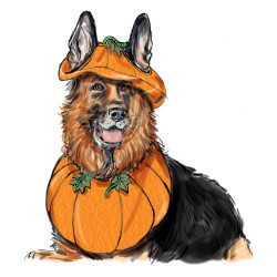 Udklædning  til hunde Simplicity snitmønster 9497 A