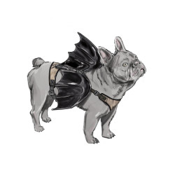 Hundesele m/vinger Simplicity snitmønster S9875