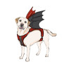 Hundesele m/vinger Simplicity snitmønster S9875