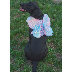 Hundesele m/vinger Simplicity snitmønster S9875