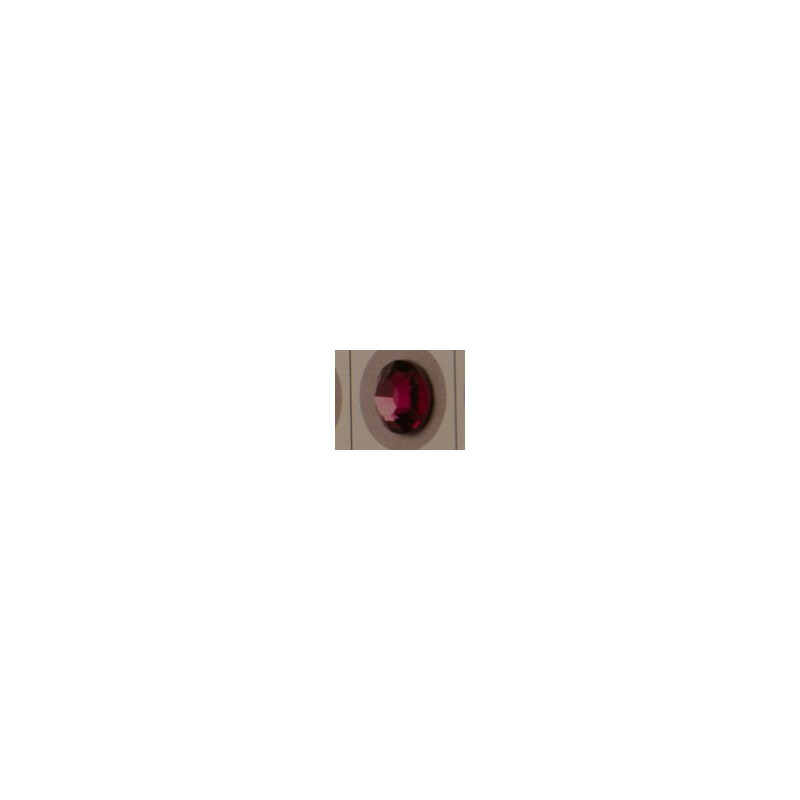 Fuchsia  502