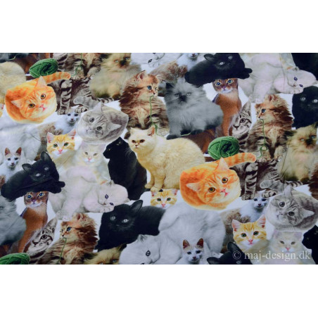 Katte Digetalt print 