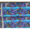 Nemo Fra find Dory Digetalt print 