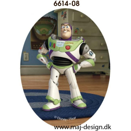 Toy Story printet strygelapper 11x8 cm